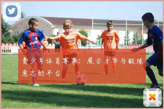 青少年体育赛事:展示才华与锻炼意志的平台